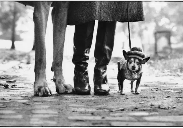 Photographer to Know: Elliott Erwitt