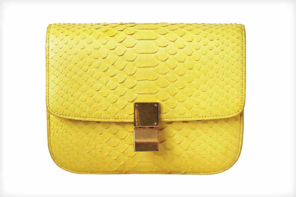 Celine Python Leather Medium Classic Box Bag