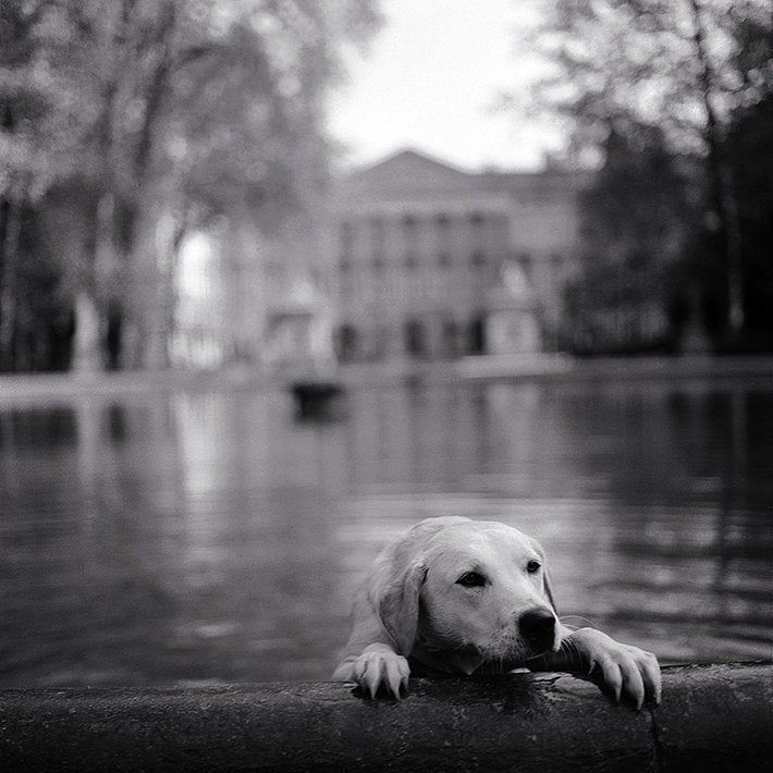 Isabel, 1995, by Keith Carter
