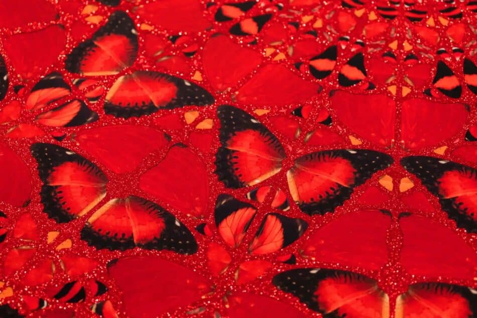 A detail of British artist Damien Hirst’s 2022 giclée print Suiko, depicting an arrangement of red-and-black butterfly wings on a red glitter background