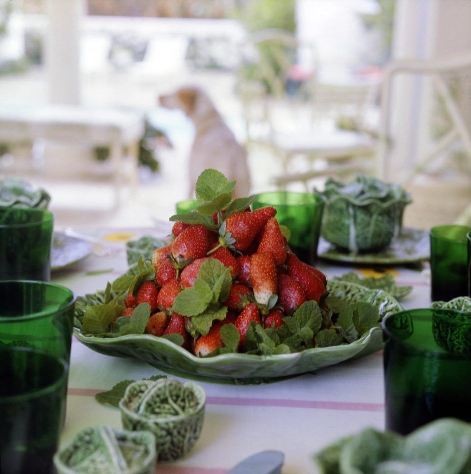 archival image of cabbageware