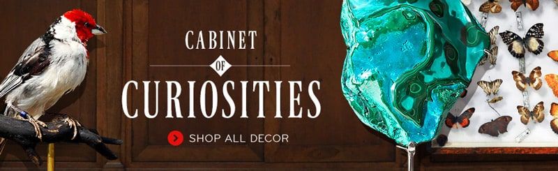 Cabinet-of-Curiosities