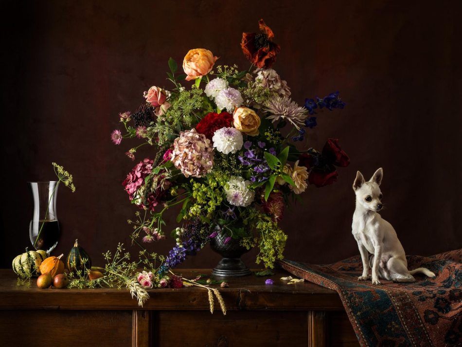 Dutch dog #1 - White Chihuahua, 2015, by Tim Platt