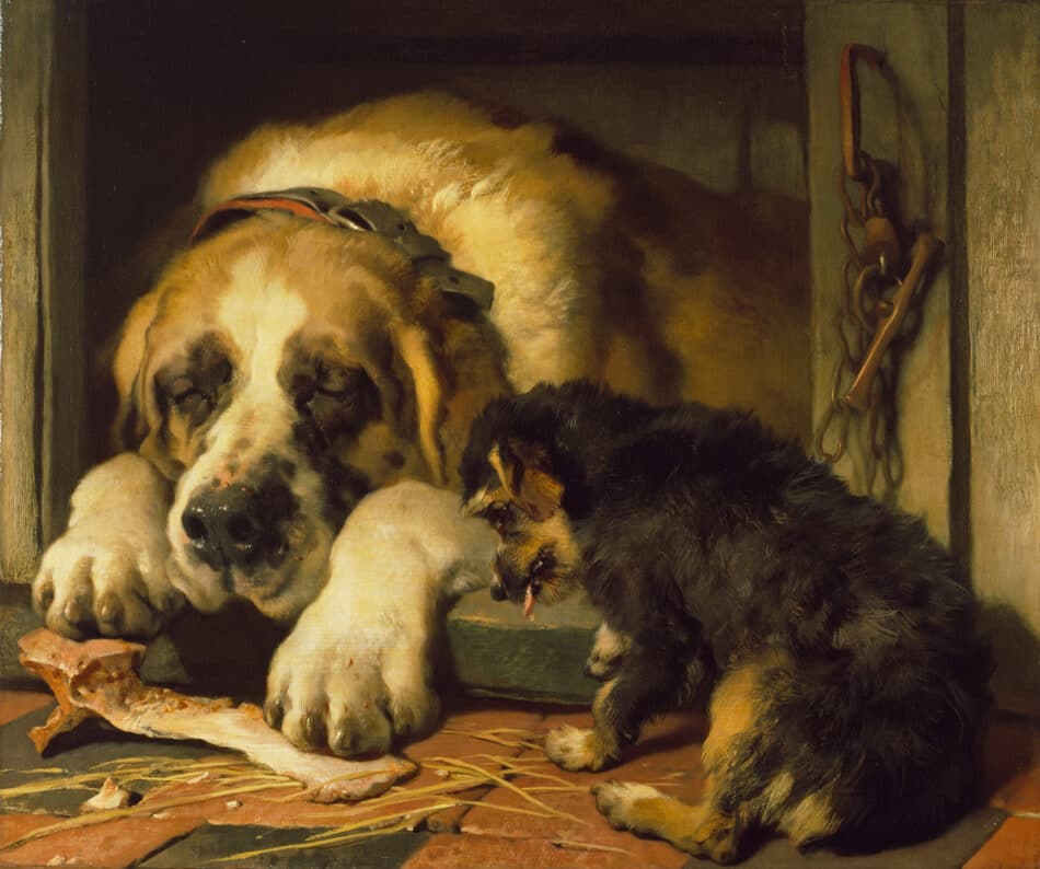 Doubtful Crumbs, 1858-59, by Edwin Landseer