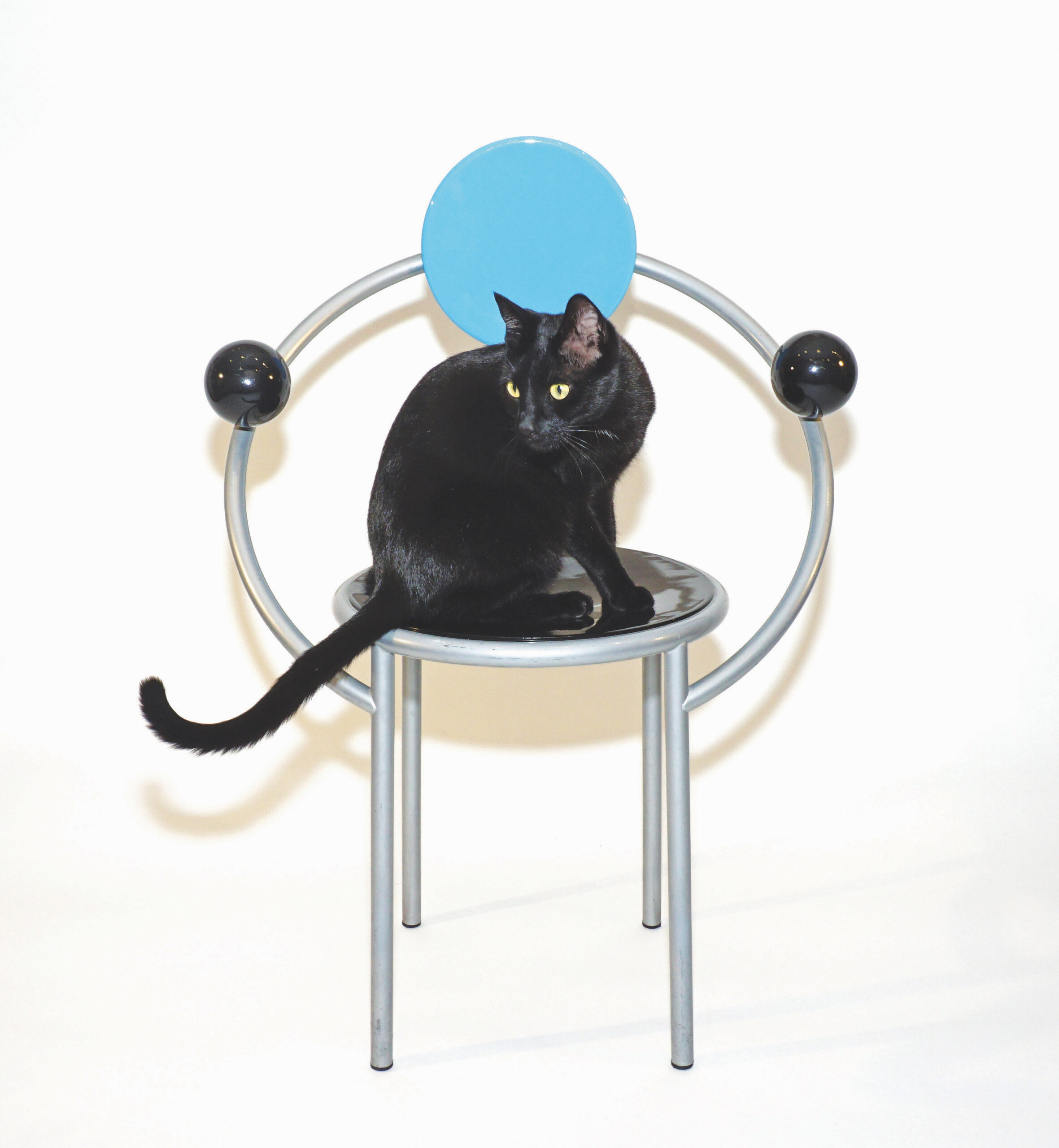This Black Cat Knows More about High-End Furniture Than You Do