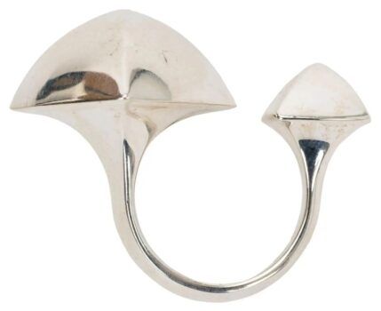 Hermes ring
