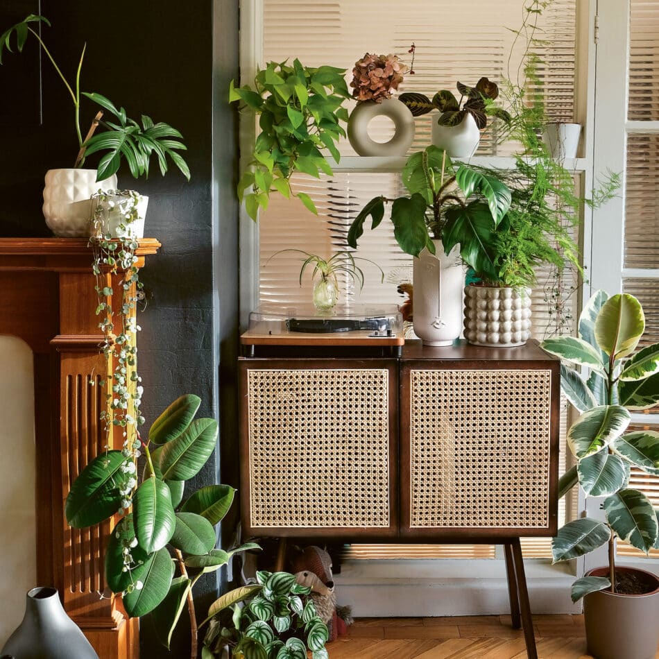 An image of a cabinet surrounded by houseplants from the book "How to Plant a Room and Grow a Happy Home," by Erin Harding and Morgan Doane