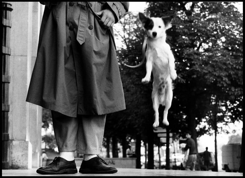 Elliott Erwitt photo