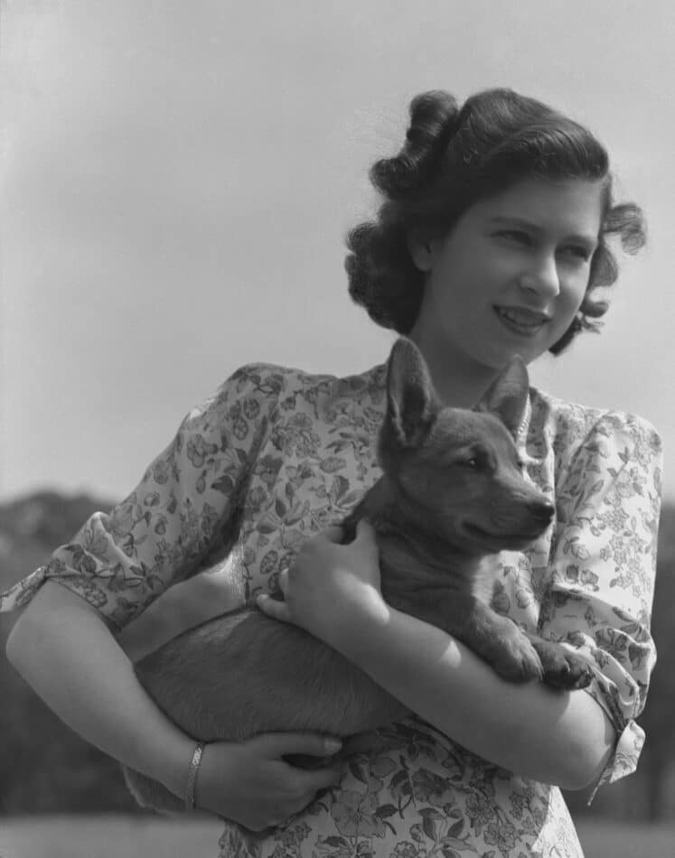 The princess holding a corgi on the grounds of Windsor Castle in May 1944