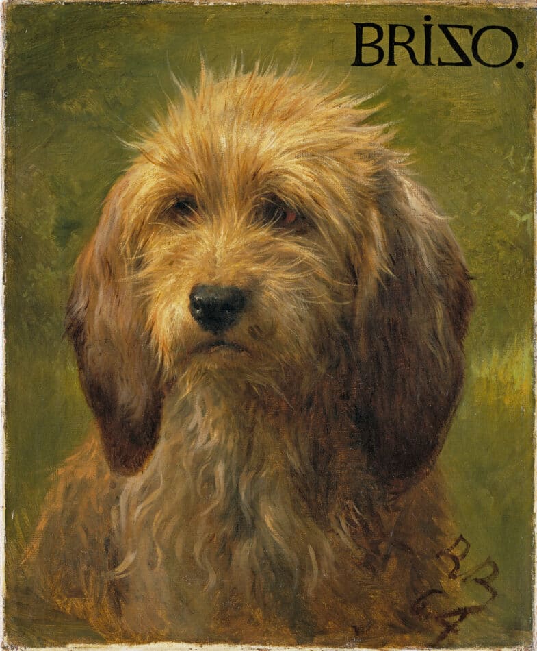 Brizo, a Shepherd's Dog, 1864, by Rosa Bonheur