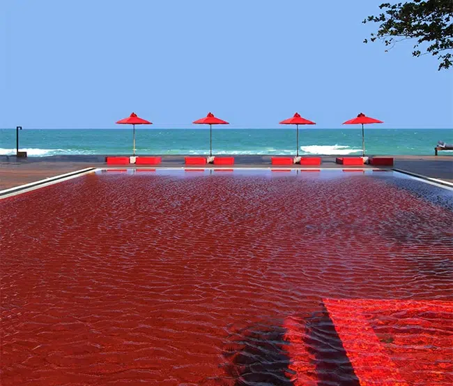 Thailand-Red-Pool