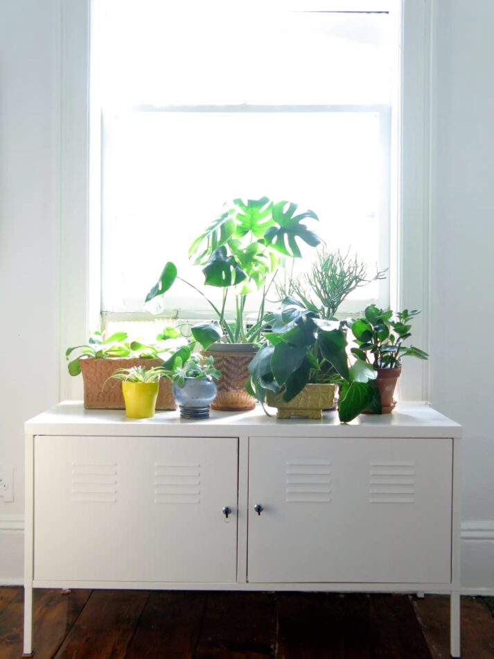 A storage cabinet topped with a collection of plants in a Brooklyn Heights apartment by design firm VERDOIER