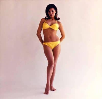An untitled Don Ortiz photograph of actress Raquel Welch, circa 1965. Offered by 