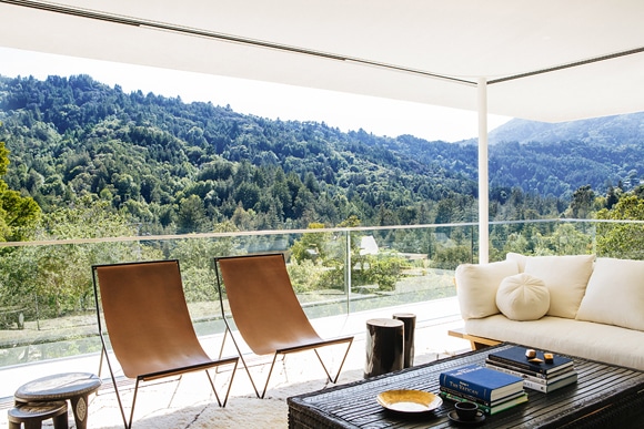 contemporary-minimalist-living-room-larkspur-ca-by-nicolehollis1