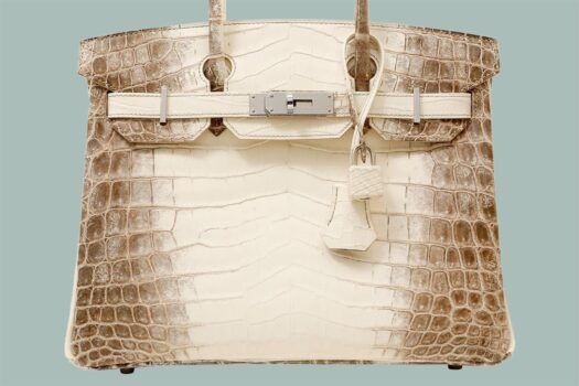 Himalayan Birkin bag