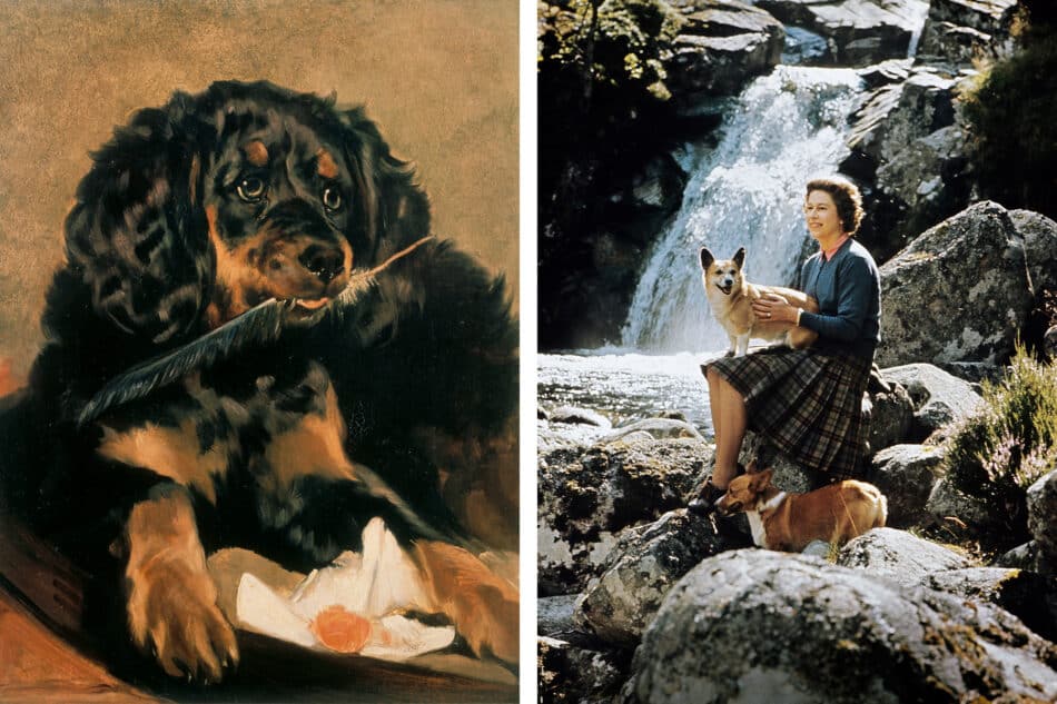 An 1838 painting of a black and tan spaniel by Edwin Landseer titled "Queen Victoria's Spaniel ‘Tilco'" and a photograph of Queen Elizabeth II with two corgis on the estate at Balmoral Castle in Scotland in September 1971