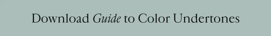Click on this banner in order to download the 1stDibs guide to understanding color undertones